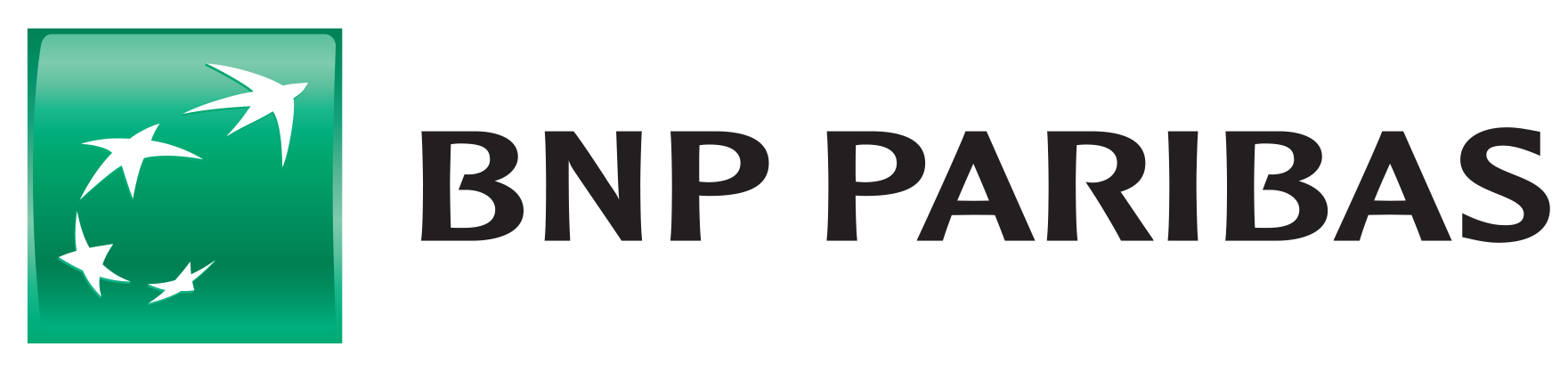 Partner 5